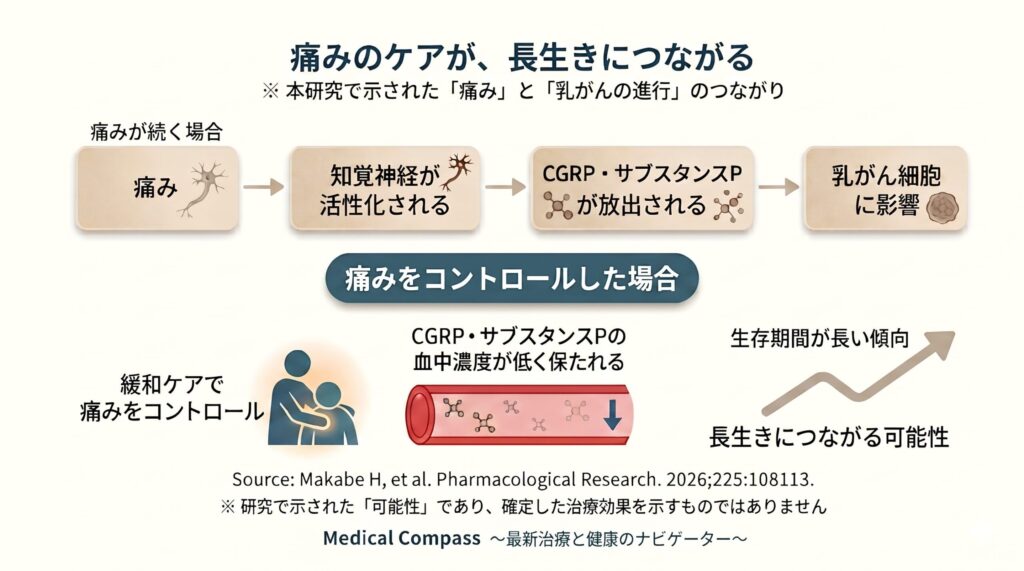 痛みのケアが、長生きにつながる仕組みの図解